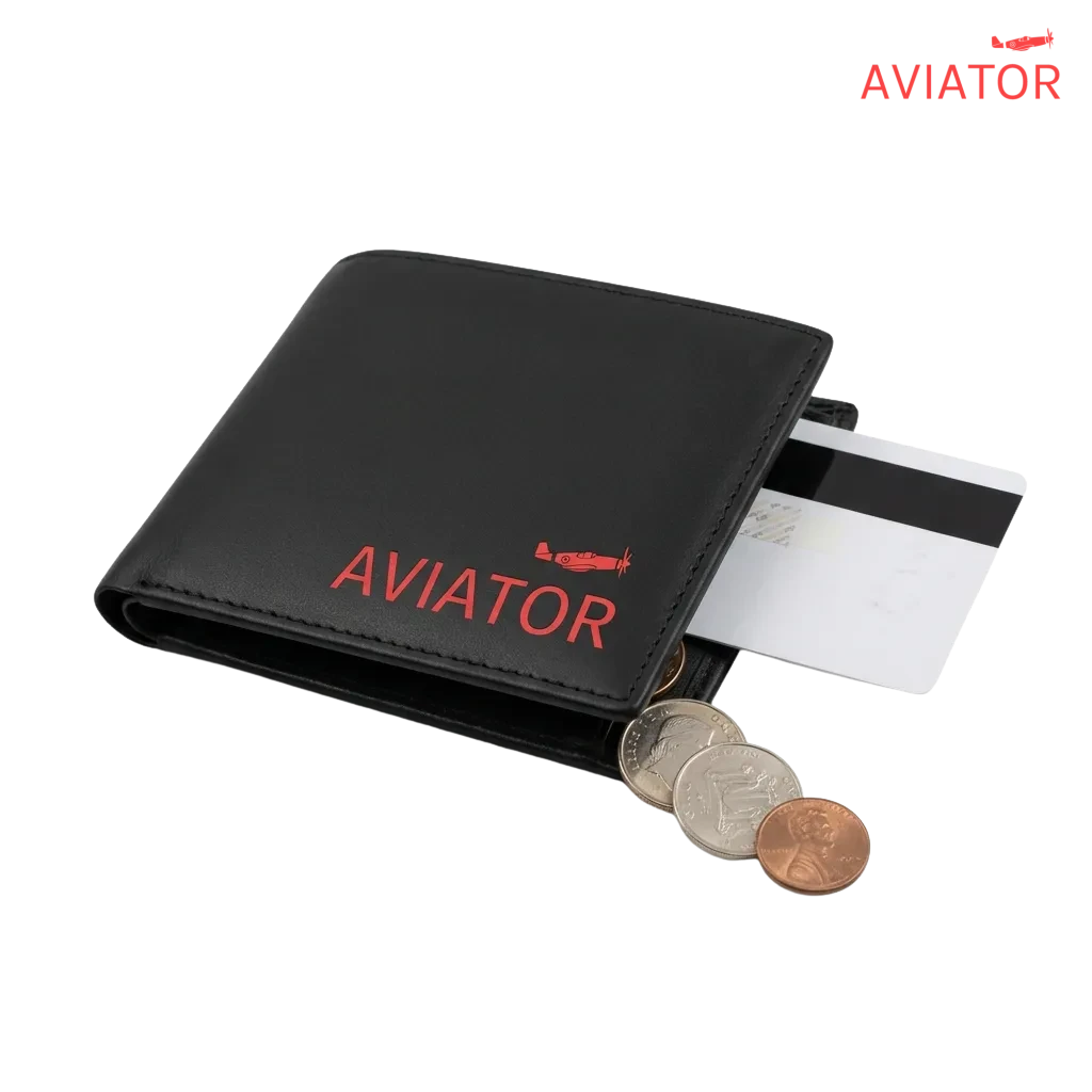Players depositing funds to play Aviator game using multiple payment methods including cards, e-wallets, and cryptocurrency